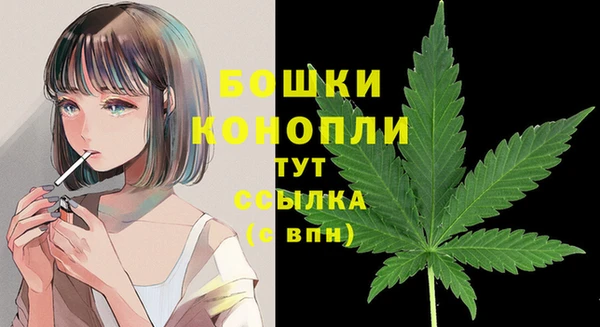 дживик Шадринск