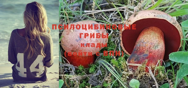 не бодяженный Горнозаводск